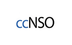 hoster.by стал полноправным членом сcNSO при ICANN